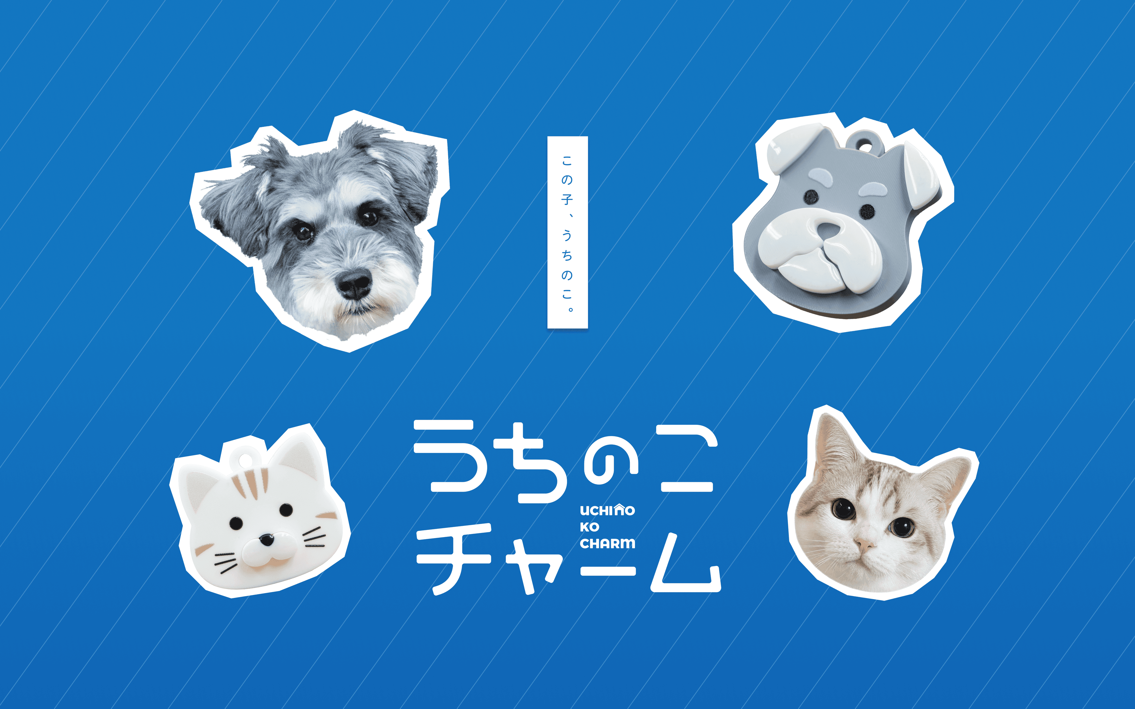 うちのこチャーム
