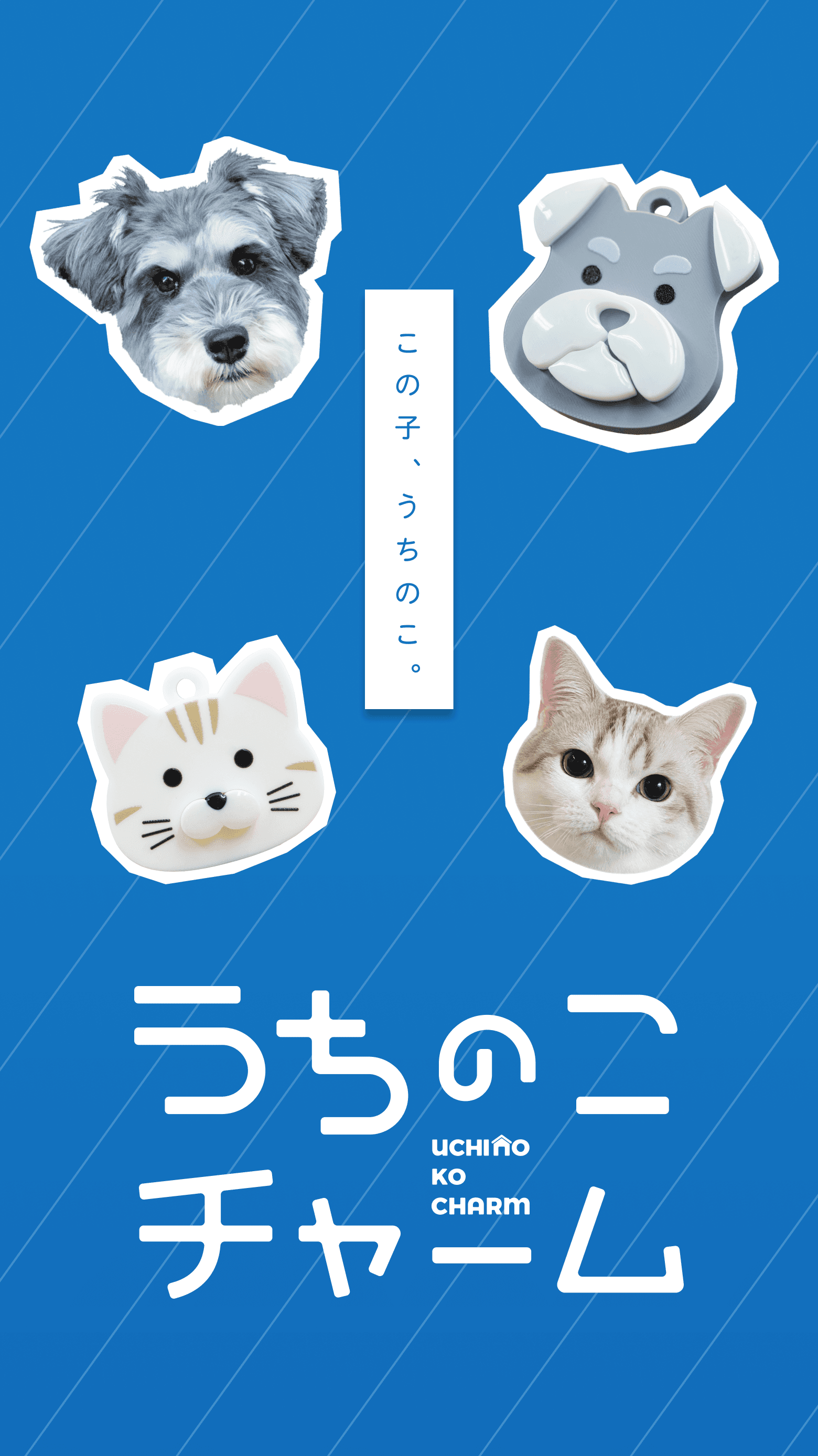 うちのこチャーム